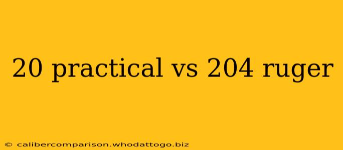 20 practical vs 204 ruger