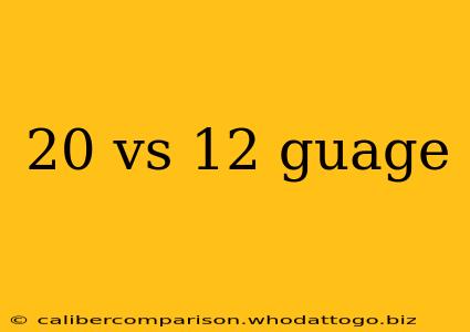 20 vs 12 guage