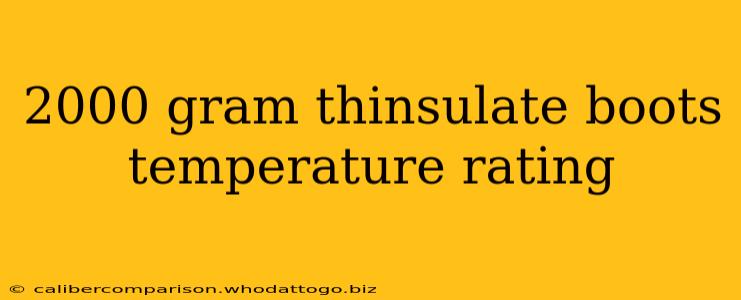 2000 gram thinsulate boots temperature rating