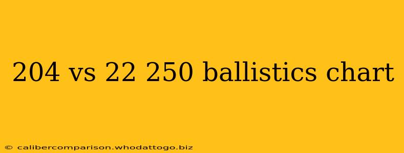 204 vs 22 250 ballistics chart