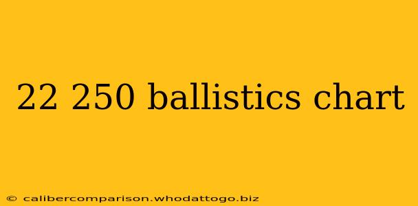 22 250 ballistics chart