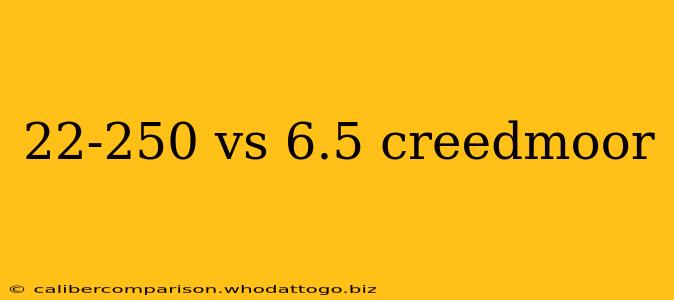 22-250 vs 6.5 creedmoor