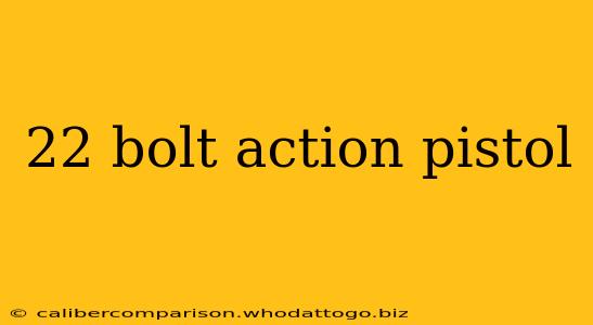 22 bolt action pistol