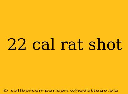 22 cal rat shot