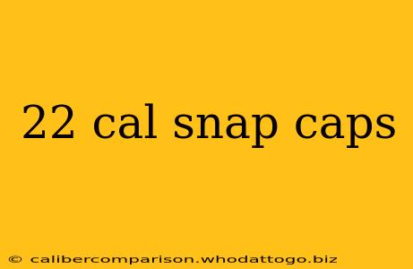 22 cal snap caps