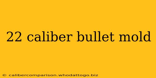 22 caliber bullet mold