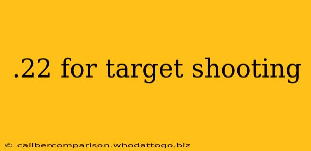 .22 for target shooting