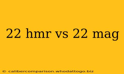 22 hmr vs 22 mag