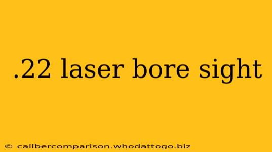 .22 laser bore sight