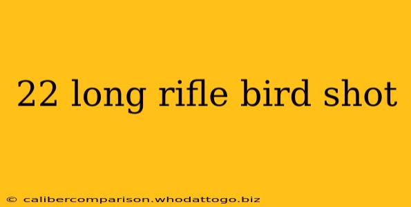 22 long rifle bird shot