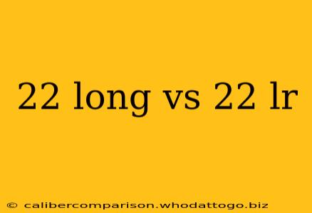 22 long vs 22 lr