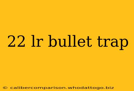 22 lr bullet trap