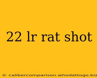 22 lr rat shot