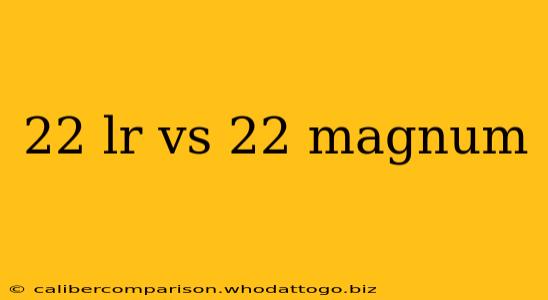 22 lr vs 22 magnum