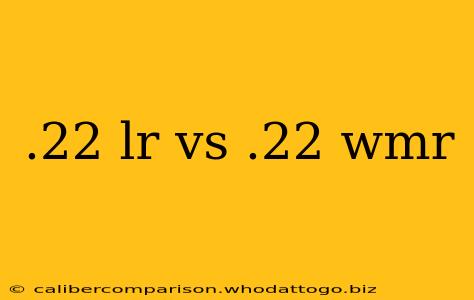 .22 lr vs .22 wmr