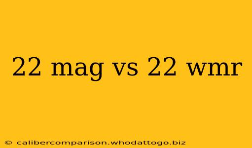 22 mag vs 22 wmr