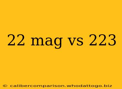 22 mag vs 223