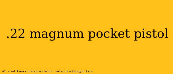 .22 magnum pocket pistol