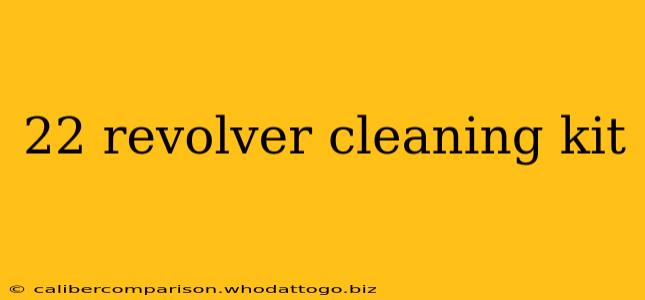 22 revolver cleaning kit