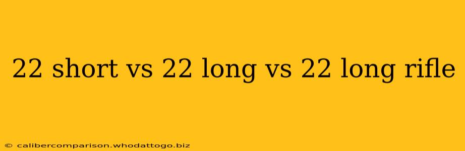 22 short vs 22 long vs 22 long rifle