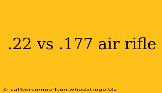 .22 vs .177 air rifle