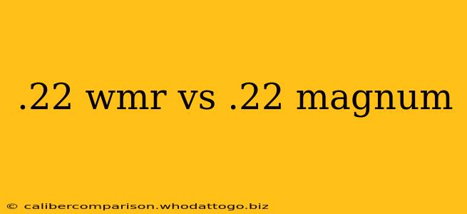 .22 wmr vs .22 magnum