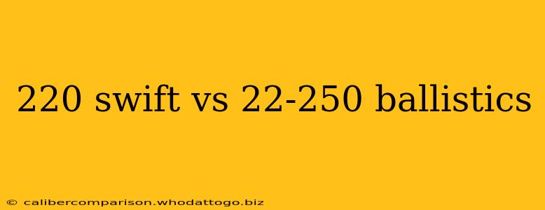 220 swift vs 22-250 ballistics