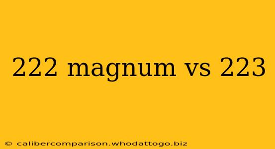 222 magnum vs 223