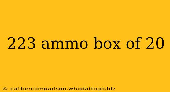 223 ammo box of 20