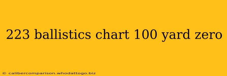 223 ballistics chart 100 yard zero