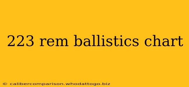 223 rem ballistics chart