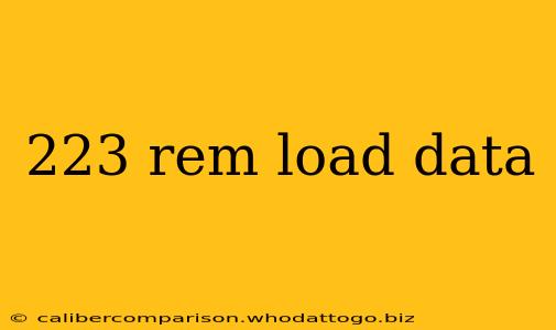 223 rem load data