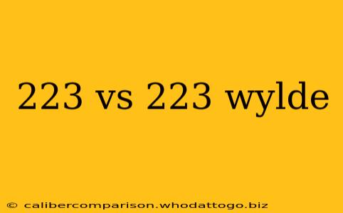 223 vs 223 wylde