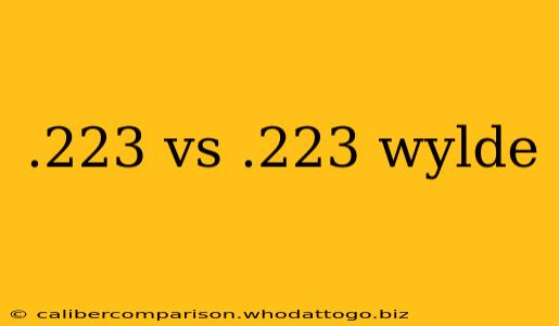 .223 vs .223 wylde