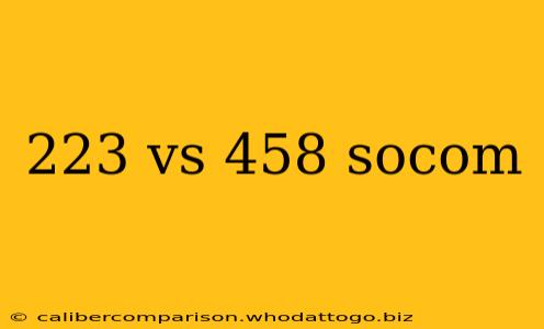 223 vs 458 socom