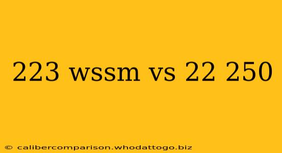 223 wssm vs 22 250