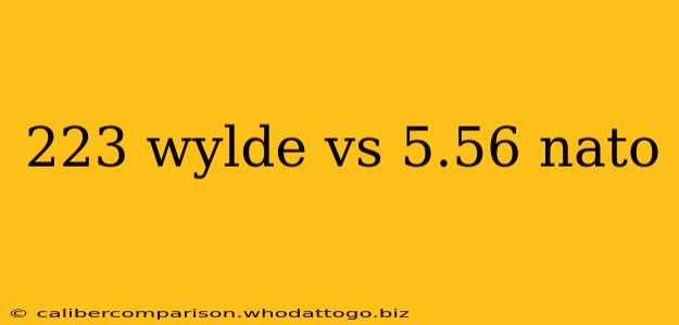 223 wylde vs 5.56 nato