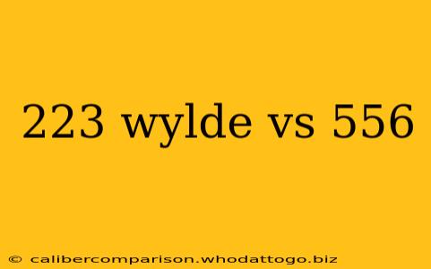 223 wylde vs 556