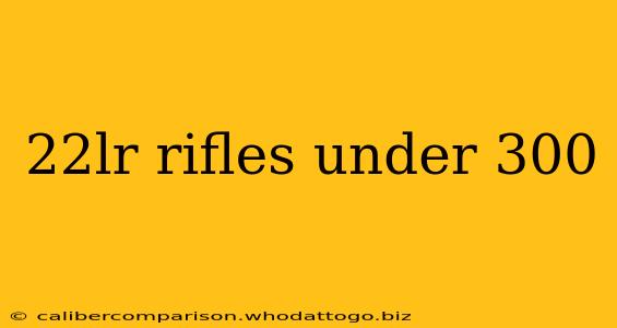 22lr rifles under 300