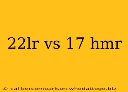 22lr vs 17 hmr