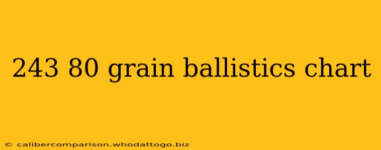 243 80 grain ballistics chart