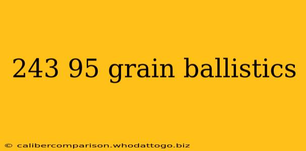 243 95 grain ballistics