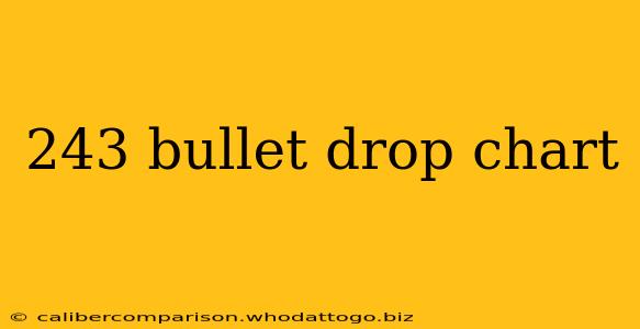 243 bullet drop chart