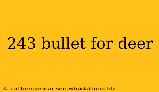 243 bullet for deer