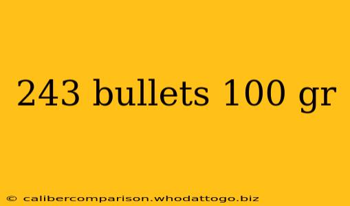 243 bullets 100 gr