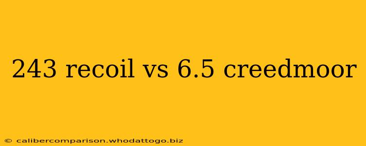 243 recoil vs 6.5 creedmoor