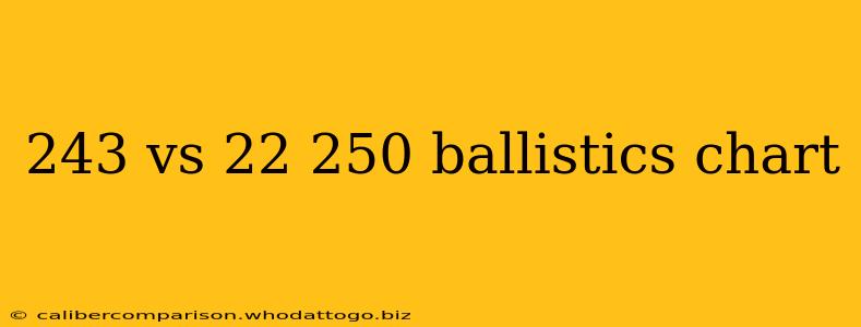 243 vs 22 250 ballistics chart