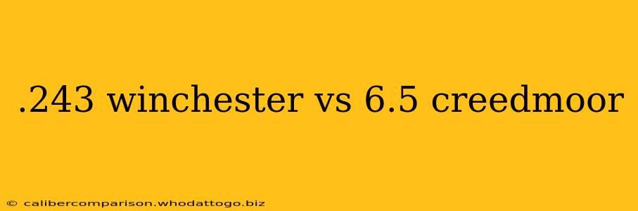 .243 winchester vs 6.5 creedmoor