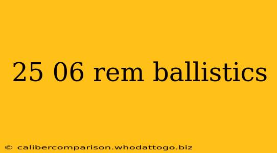 25 06 rem ballistics