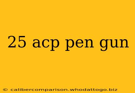 25 acp pen gun